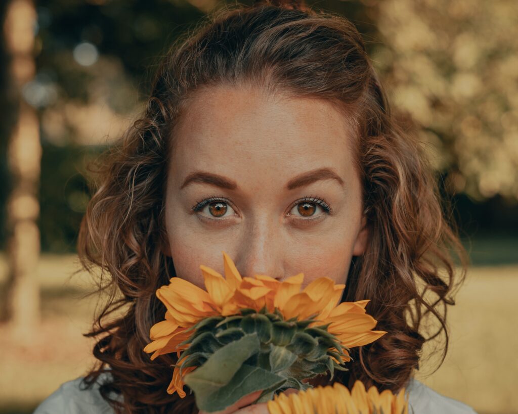 Yellow sunflower