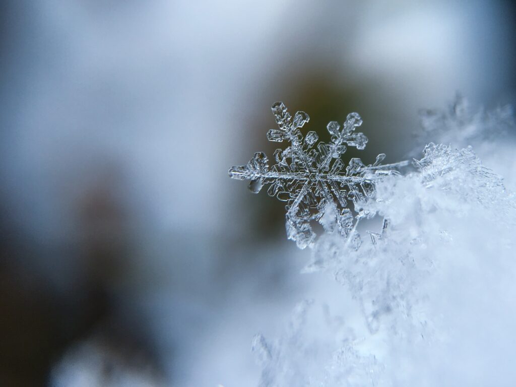 Ice flower